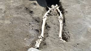在庞贝发现的熔岩中可能被压碎的人骨架
