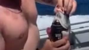 男人喝威士忌通过鱼的嘴唇在病毒性蒂克托克视频