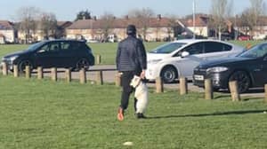 搜寻人的Rspca被看见携带的狗由衣领在公园