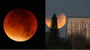 壮观的血红月亮将在下个月到来“预示着世界的终结”