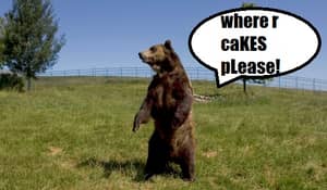 熊从天花板掉到孩子的聚会里，把蛋糕都吃光了