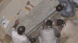 埃及发现的大型黑色石棺现已开放