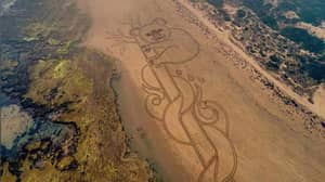 艺术家在沙滩上画令人难以置信的工作，以纪念丛林大火的死亡生命
