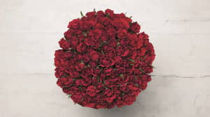Lidl在这个情人节以25英镑的价格出售100朵玫瑰花