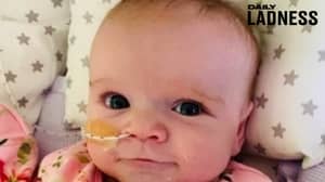 六个月的婴儿在战斗心脏和肺部问题时击败冠状病毒