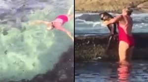 澳大利亚女人在从oceanside游泳池中拖出鲨鱼时不会击打眼皮