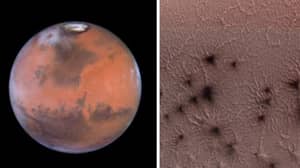 美国宇航局发布了“蜘蛛”爬行的照片在火星上