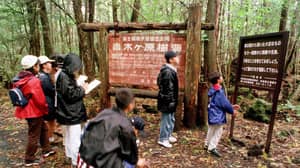 日本试图阻止洛根·保罗拍摄的“自杀森林”中的死亡事件