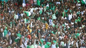 尼日利亚球迷被禁止将活鸡带到第一世界杯比赛'