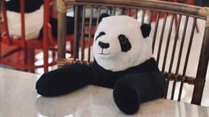 餐厅将熊猫玩具放在桌子上，让食客们在社交侧视