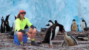 澳大利亚在南极洲的Chippy，Sparky和水管工工作