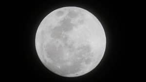 本月将迎来150年来的首个“超级蓝血月亮”