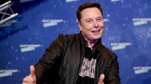 Elon Musk表示，持比特币比现金略好