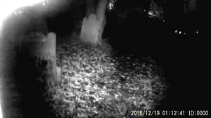 视频显示“Ghost”飞向800岁公墓的相机飞行