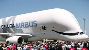空中客车推出新的Beluga XL飞机，看起来像鲸鱼