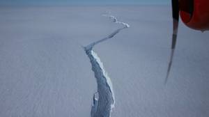 比纽约市更大的冰山在南极洲休息
