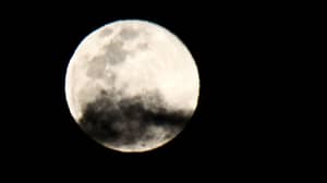 不明飞行物专家声称有月球上有外星结构的证明