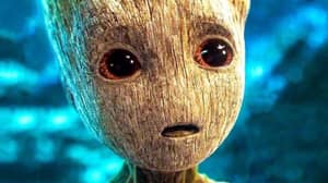 Botanist解释了Baby Groot是如何在“银河护卫队”中居住的
