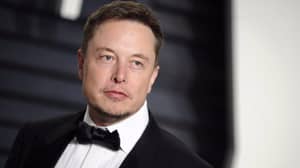 Elon Musk在100天内完成了世界上最大的电池
