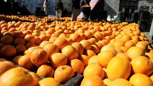 乘客在吃30kg橘子后维持口腔溃疡以避免行李费
