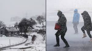 英国预测下周获得雪和零零气温
