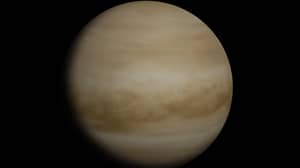 科学家认为，新理论可以证明外来生命形式隐藏在金星上