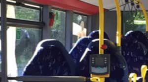 反移民小组错误佩戴布卡斯的女性空公共汽车座位
