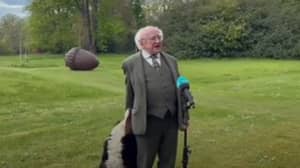 爱尔兰狗狗总统在电视采访中抢尽风头