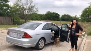 女人试图将狗扔到德克萨斯州被捕