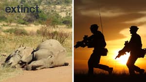 英国军队将加入非洲偷猎者的斗争