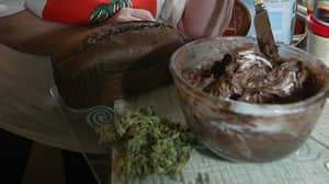 十三个人在吃蛋糕后被采取到医院在金属侦察公约的大麻画作