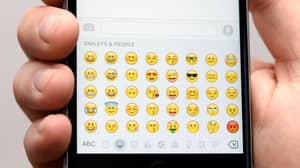 司机因短信而被捕，说他只是派“笑emoji”