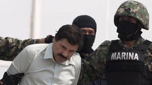 El Chapo的律师声称他被非法引渡，他的案子应该被抛出