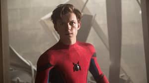 汤姆·荷兰（Tom Holland）回应新闻蜘蛛必威备用网侠（News Spider-Man）留在漫威电影宇宙中