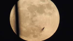 UFO研究人员声称奇怪的对象“传球月球”是外星人生活的证据