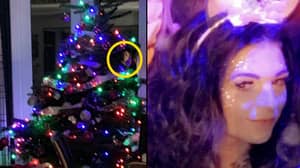 照顾者在圣诞树中间拍摄了“鬼脸”的照片