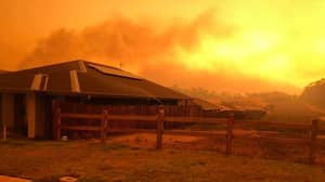 新南威尔士州农村火灾服务说，所有丛林大火现在都是本赛季第一次包含的