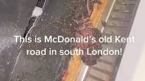 病毒视频显示麦当劳饮料机中的蠕虫堆
