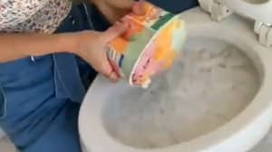 一名女子分享了在厕所里做冰淇淋的奇怪“窍门”