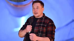 埃隆·马斯克（Elon Musk）丢下说唱单曲称为RIP Harambe