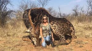 在社交媒体上遭到强烈反对后，长颈鹿猎人对她的杀戮并不后悔