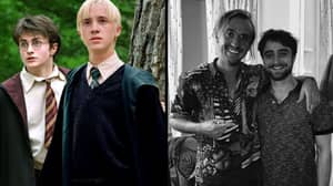 哈利·波特（Harry Potter）和德拉科·马尔福（Draco Malfoy）在现实生活中再次相遇