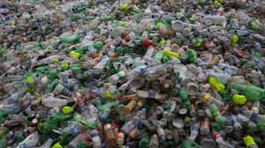 令人震惊的国家地理掩护暴露了塑料废物问题