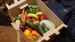 Lidl将以1.50英镑的价格开始销售5公斤损坏的水果和蔬菜