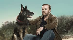 Ricky Gervais发布了《After Life》第二季的初读照片