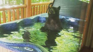 三只小熊喜欢泡在热水浴缸里