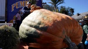 一个名叫老虎王的2,350磅的南瓜赢得了“超级碗南瓜”