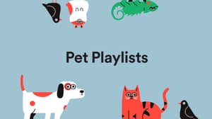 Spotify揭示了宠物功能的新播放列表