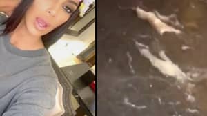 Kim Kardashian被迫否认她在发布Selfie后使用可卡因