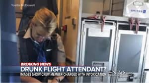 在飞行中醉酒的空姐被控醉酒
